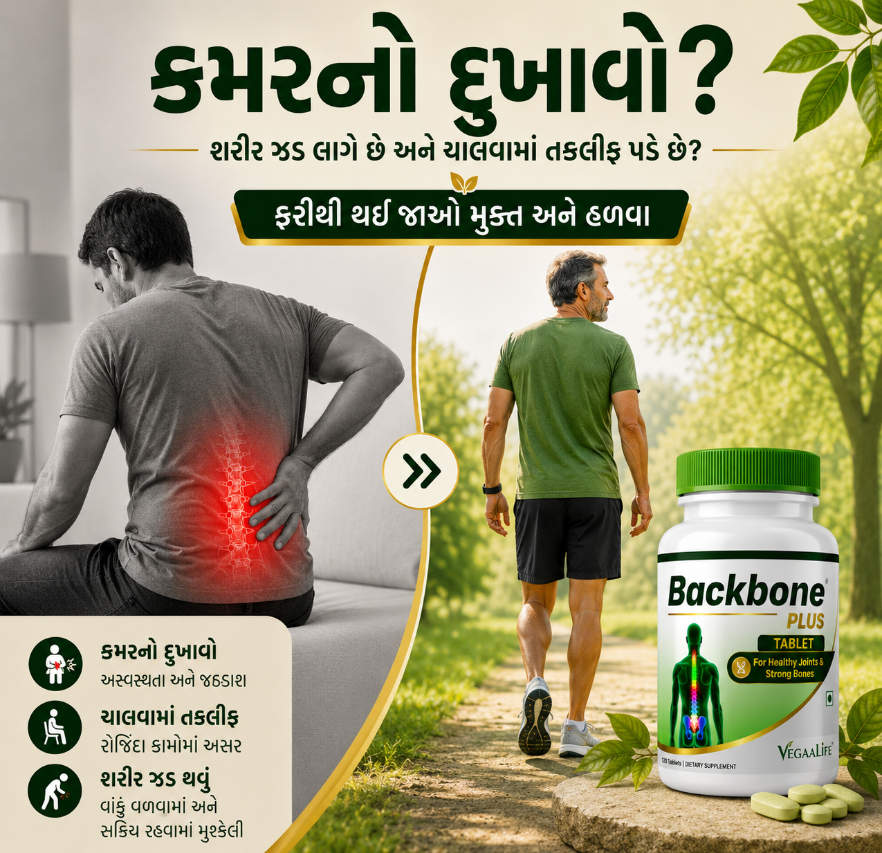 બેક બોન પ્લસ ટેબલેટ – કરોડરજ્જુના સ્વાસ્થ્ય અને મજબૂત હાડકાં માટે અદ્યતન પ્લાન્ટ-બેઝ્ડ પોષણ (120 ટેબ્લેટ્સ)