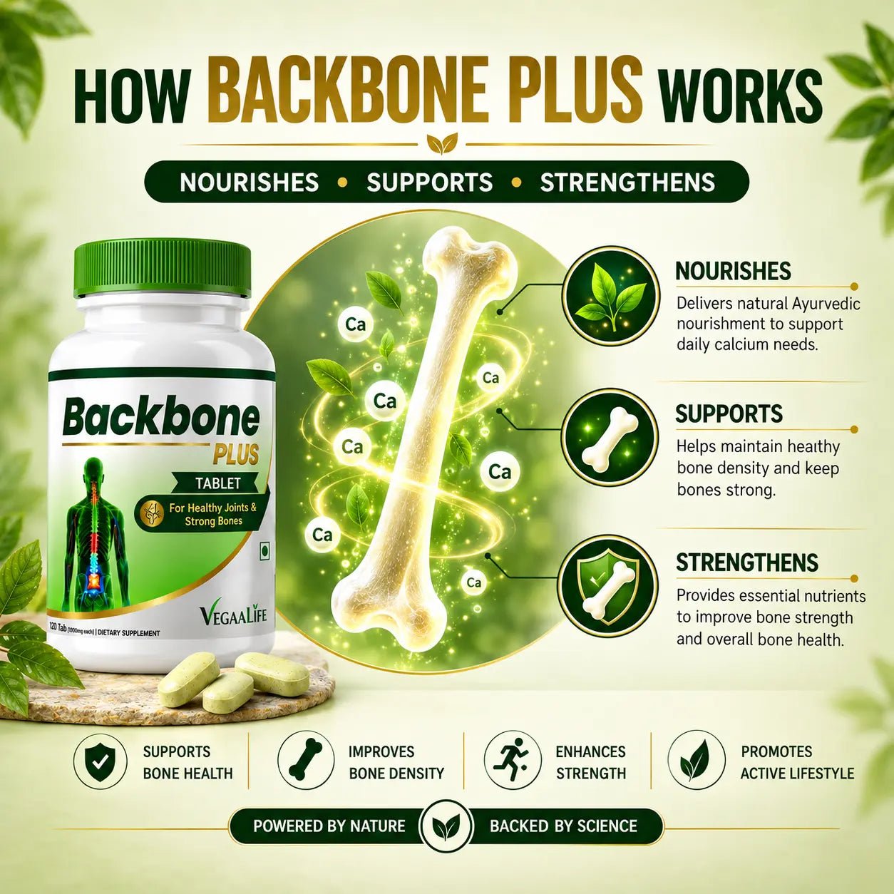 BackBone Plus Tablet – Natural Ayurvedic Calcium Support Tablet | 120 Tablets | For Strong Bones & Daily Nourishment