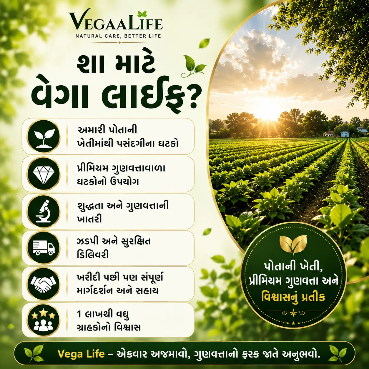 બેક બોન પ્લસ ટેબ્લેટ અને બેક બોન ઓઇલ કોમ્બો- કમર,  મણકા (સ્પાઇન), સ્નાયુ ના દુખાવા માટે કુદરતી  ઉપચાર