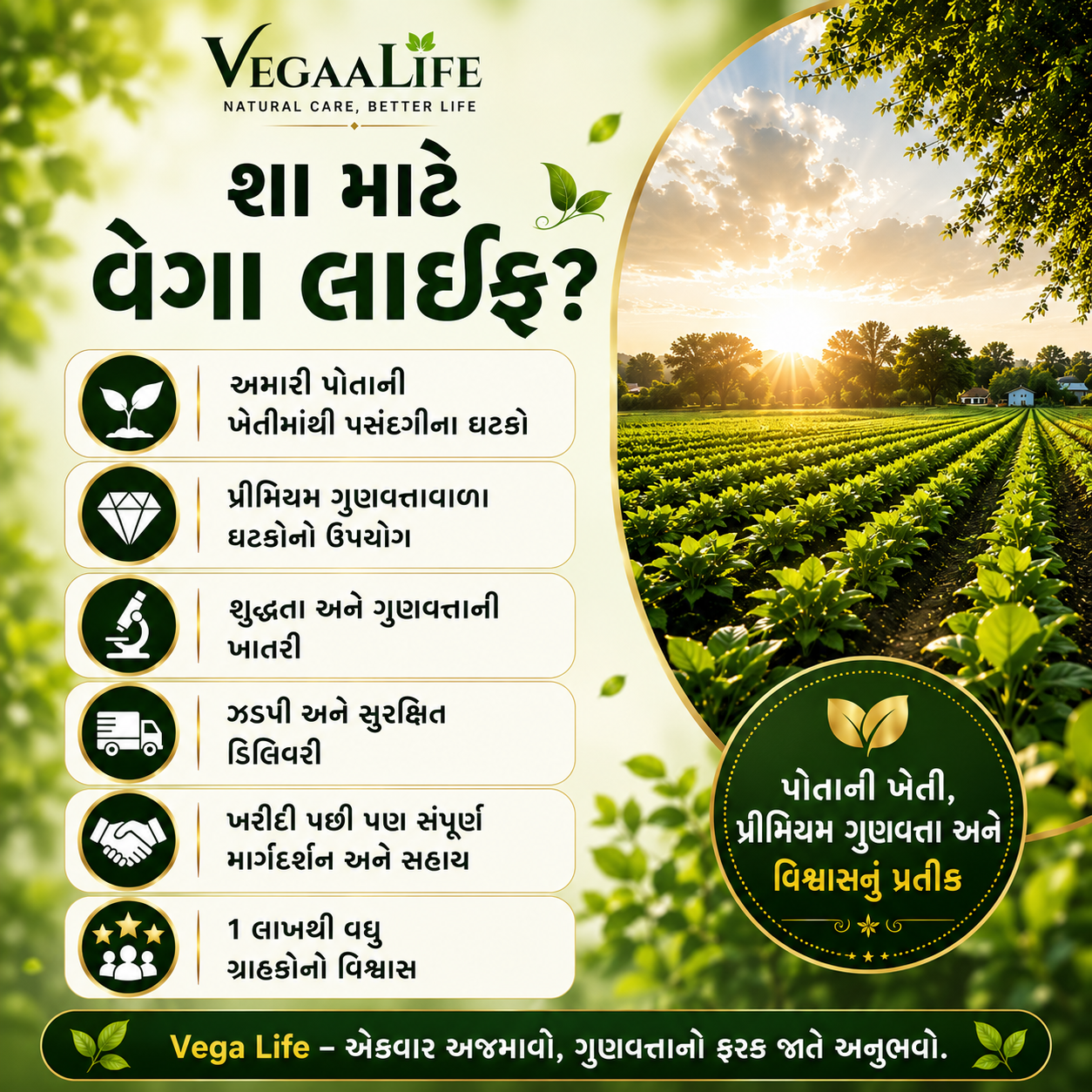 બેક બોન પ્લસ ટેબ્લેટ અને બેક બોન ઓઇલ કોમ્બો- કમર,  મણકા (સ્પાઇન), સ્નાયુ ના દુખાવા માટે કુદરતી  ઉપચાર