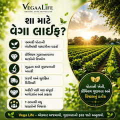બેક બોન પ્લસ ટેબ્લેટ અને બેક બોન ઓઇલ કોમ્બો- કમર,  મણકા (સ્પાઇન), સ્નાયુ ના દુખાવા માટે કુદરતી  ઉપચાર